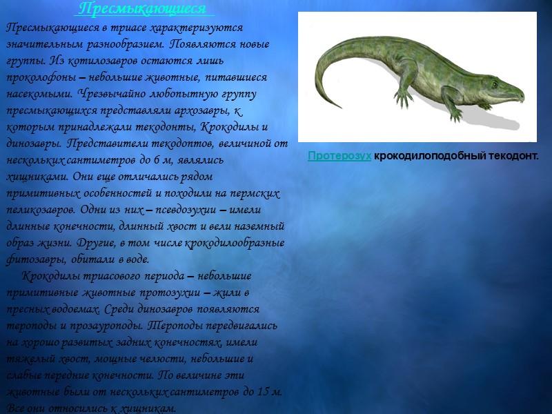 Пресмыкающиеся     Пресмыкающиеся в триасе характеризуются значительным разнообразием. Появляются новые группы.